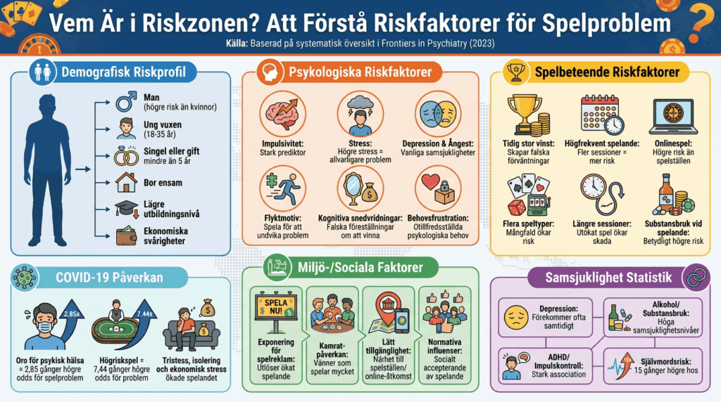 vem är i riskzonen infografisk bild